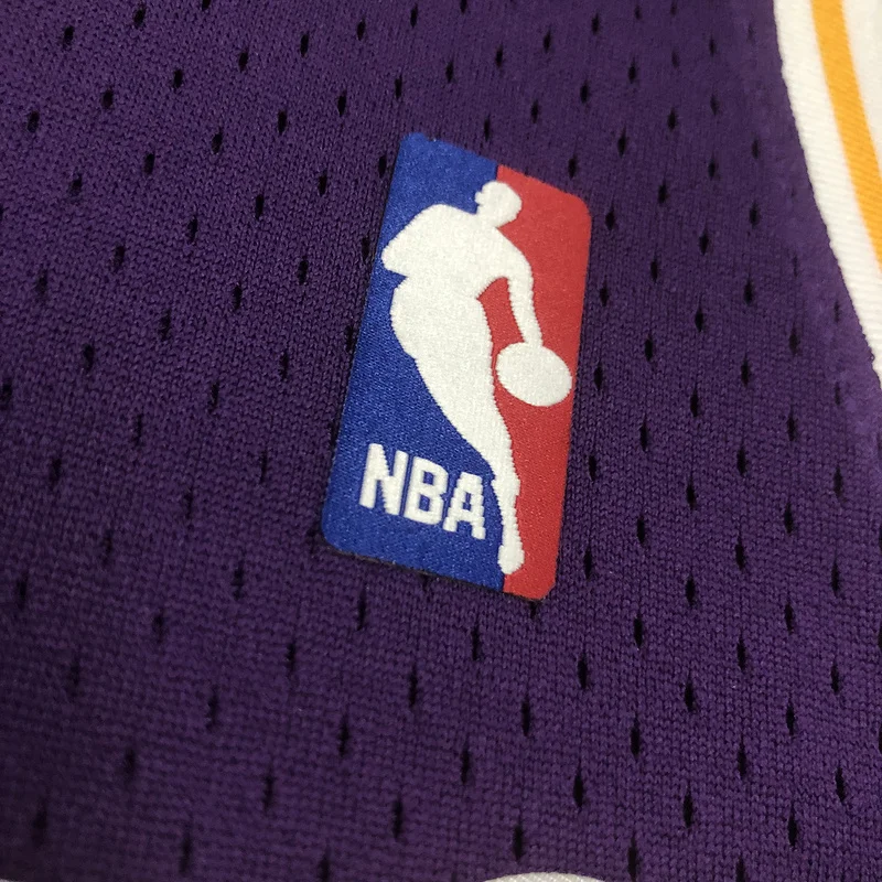 MN Heat pressed Retro jersey NBA Los Angeles Lakers 1998 1999 Season round neck Purple #73 RODMAN