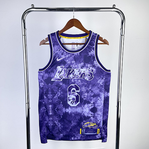 2023 Season Honor version NBA Los Angeles Lakers jersey  #6 James Los Angeles Lakers