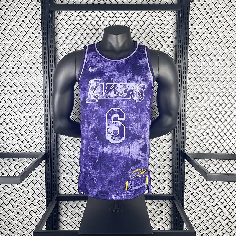 2023 Season Honor version NBA Los Angeles Lakers jersey  #6 James