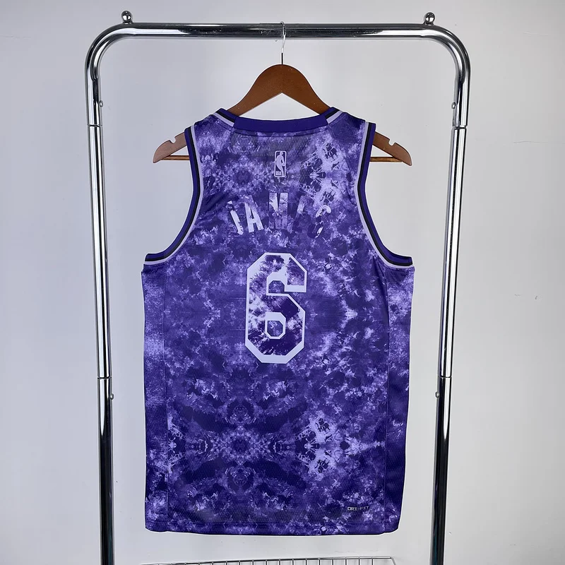 2023 Season Honor version NBA Los Angeles Lakers jersey  #6 James