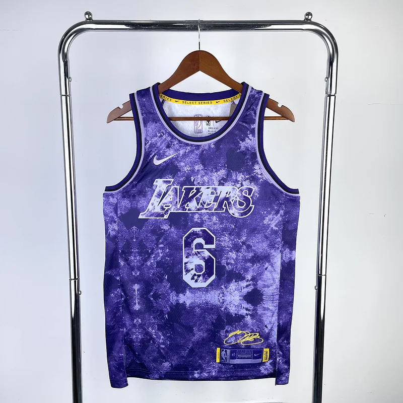 2023 Season Honor version NBA Los Angeles Lakers jersey  #6 James