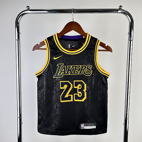 Youth kids NBA Los Angeles Lakers jersey  snake pattern #23 James Los Angeles Lakers