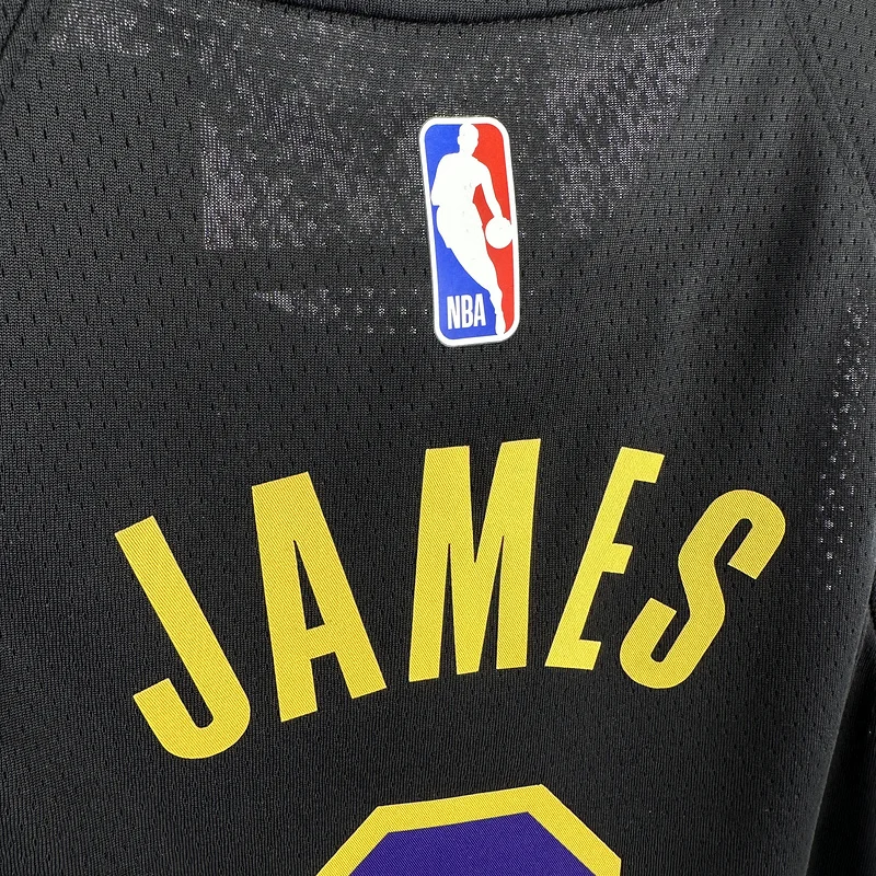 Youth kids Basketball Jersey 2024 Los Angeles Lakers city version #6 JAMES