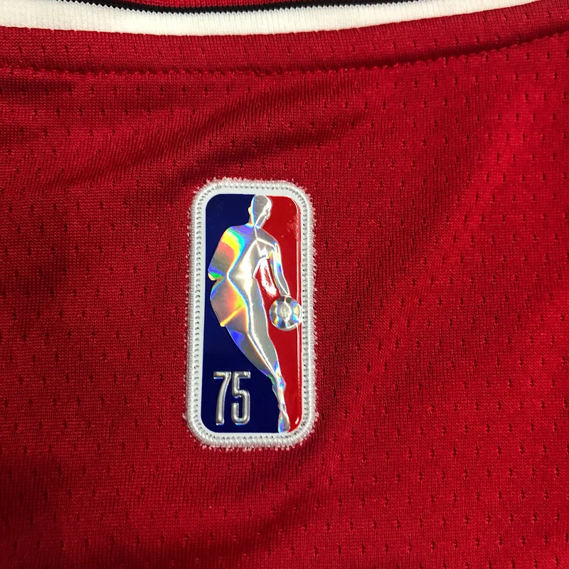 75th Anniversary NBA Chicago Bulls Basketball jersey #6 CARUSO