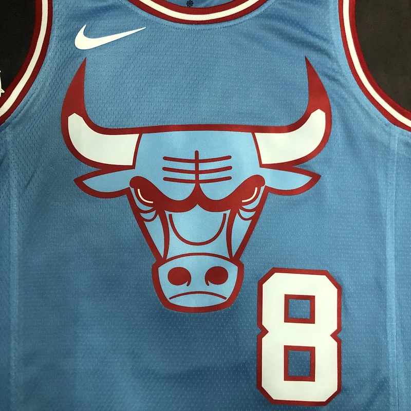 NBA Chicago Bulls Basketball jersey Blue #8 LAVINE