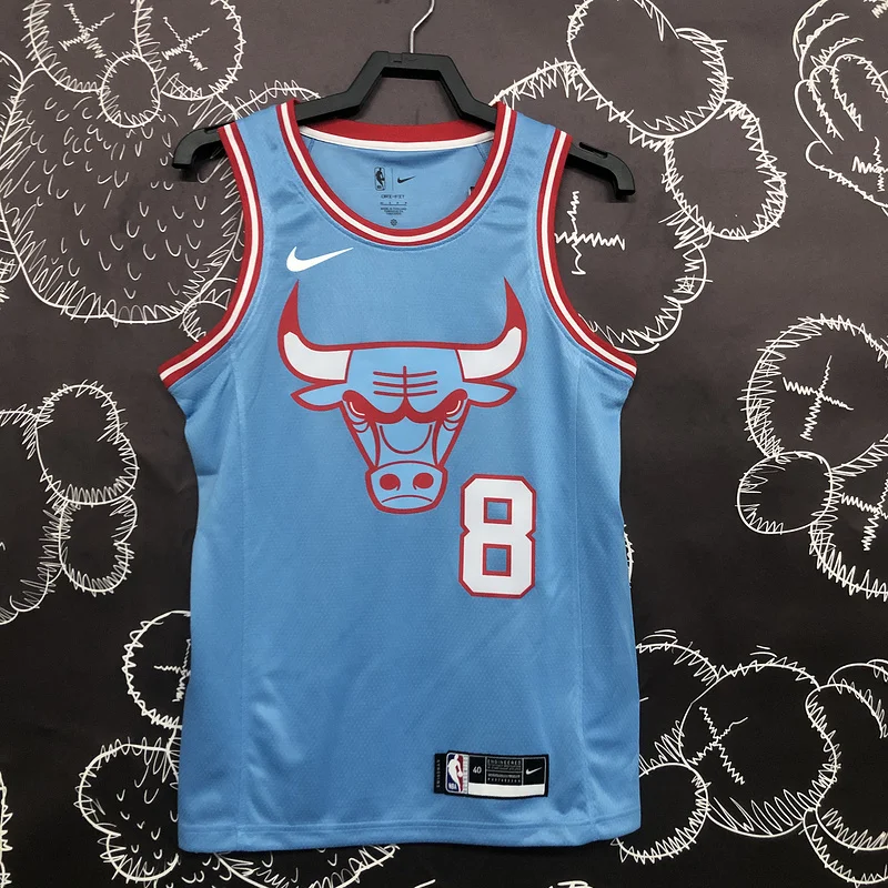 NBA Chicago Bulls Basketball jersey Blue #8 LAVINE