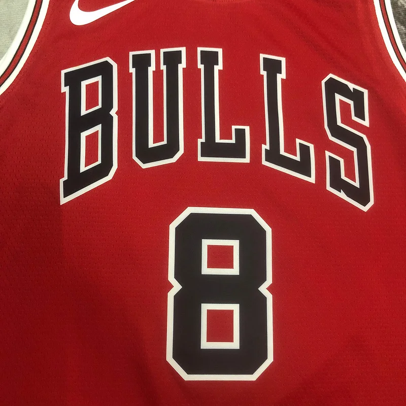 2023 Season NBA Chicago Bulls Basketball jersey red #8 LAVINE