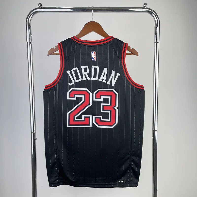 2023 Season NBA Chicago Bulls Basketball jersey Flyer limited #23 Jordan