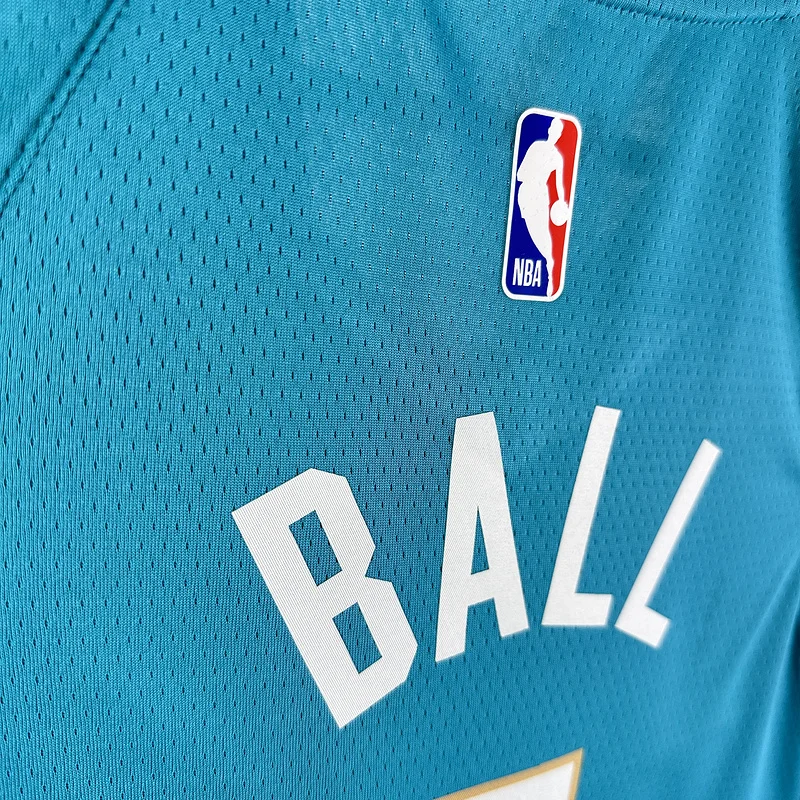 2024  Charlotte Hornets Basketball Jersey   city version #1  BALL