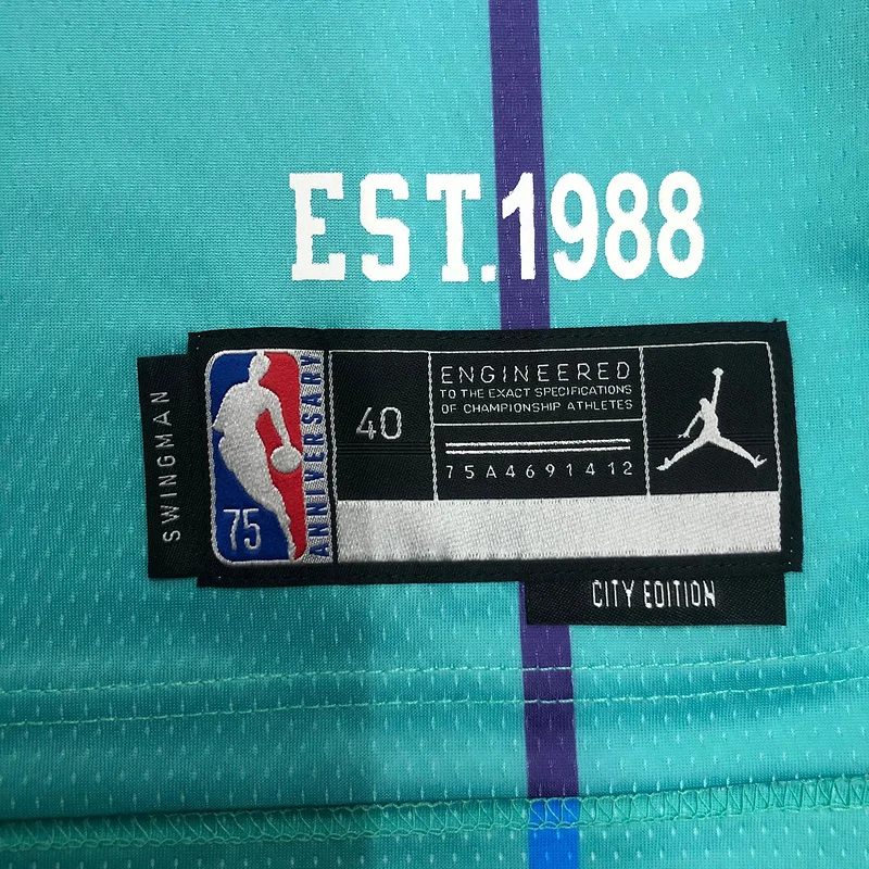 2022  Charlotte Hornets Basketball Jersey   city version #2  BALL