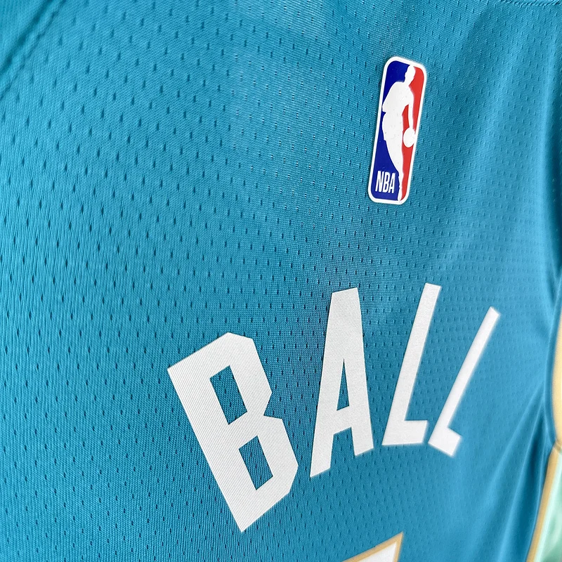 2024  Charlotte Hornets Basketball Jersey   city version #1  BALL