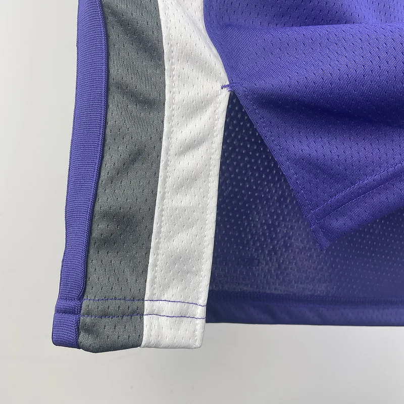 2023 Sacramento Kings Basketball Jersey Aawy Purple #5 FOX