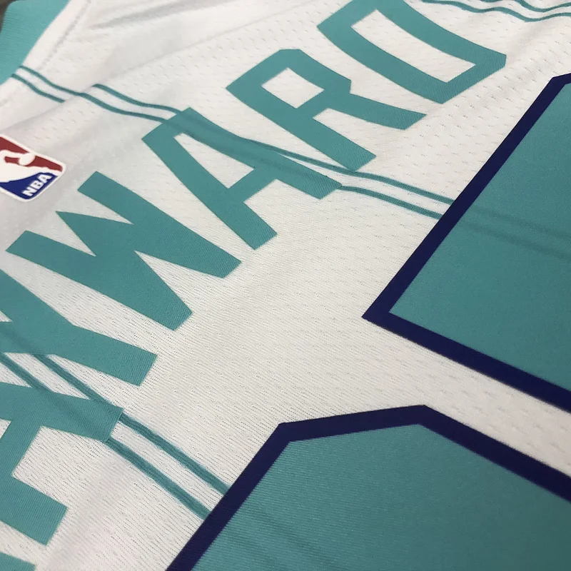 2020 Charlotte Hornets Basketball Jersey   White  #20   HAYWARD