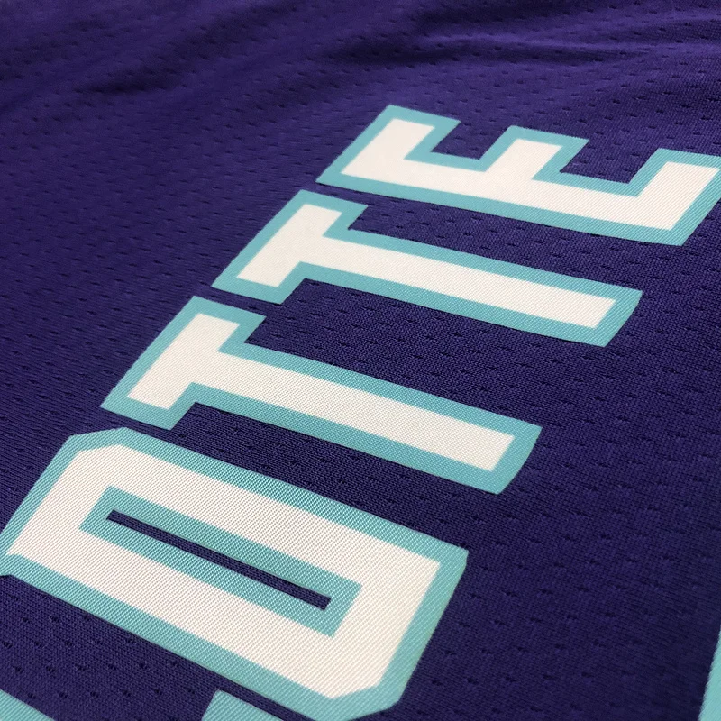 Charlotte Hornets Basketball Jersey   Purple  #2  BALL