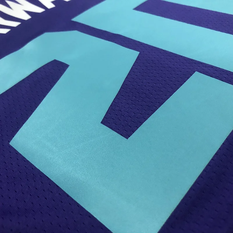 Charlotte Hornets Basketball Jersey   Purple  #20  HAYWARD