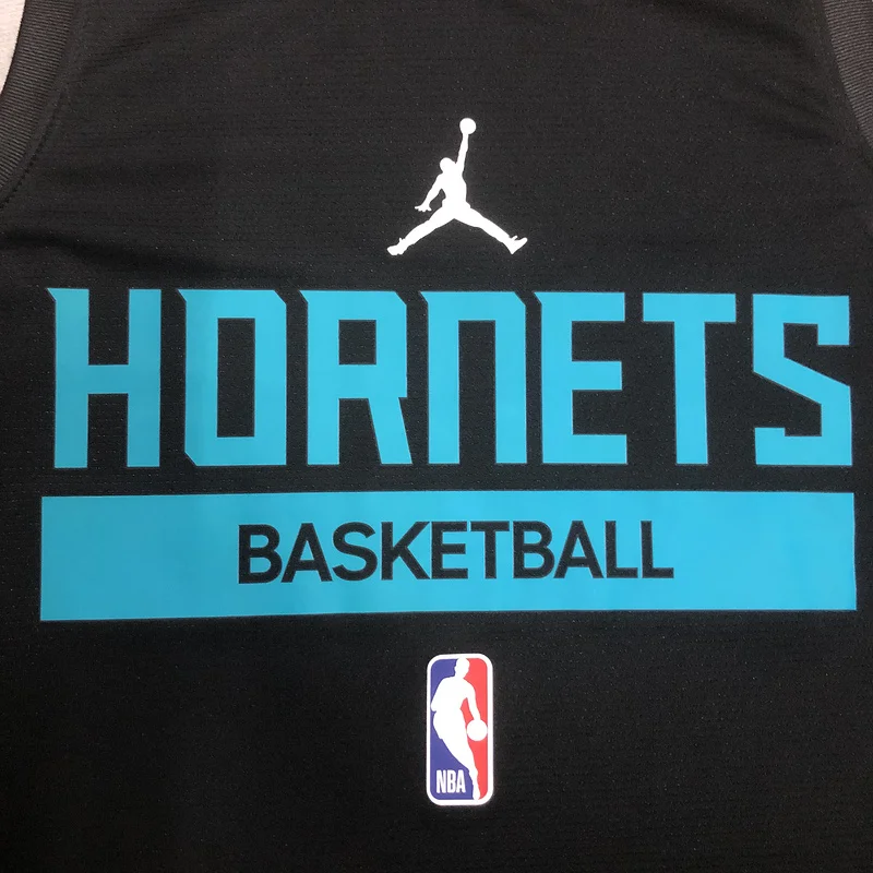 2023 Charlotte Hornets Basketball Jersey  Black  training  vest