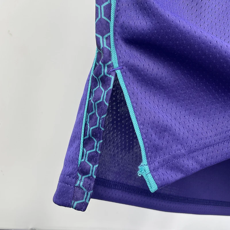 2023  Charlotte Hornets Basketball Jersey   trapeze  limited #1  BALL