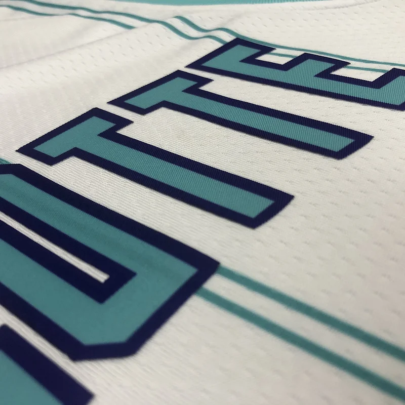 2020 Charlotte Hornets Basketball Jersey   White  #2    BALL