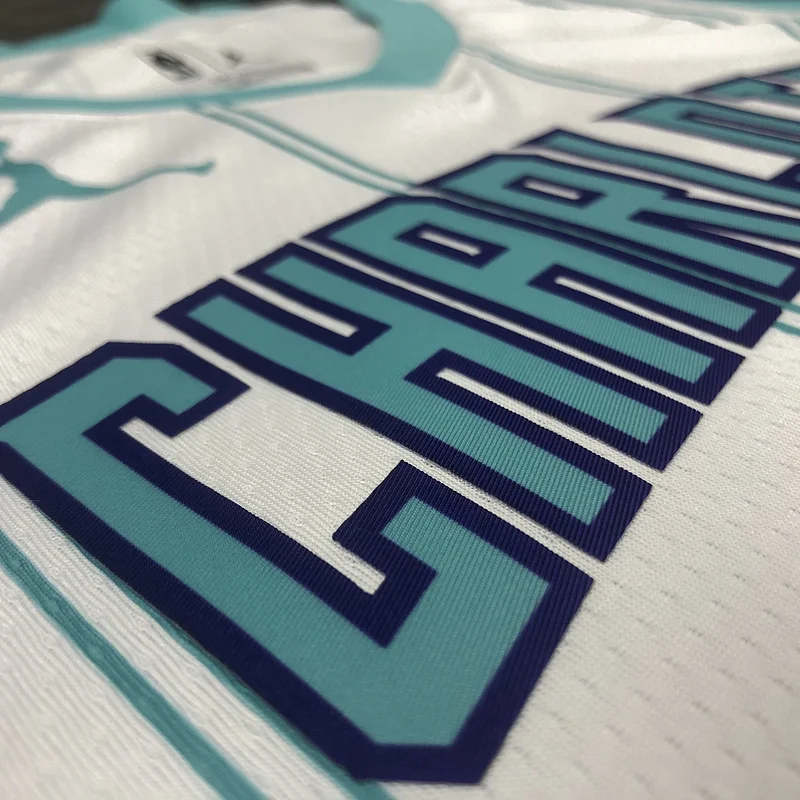 2020 Charlotte Hornets Basketball Jersey   White  #2    BALL