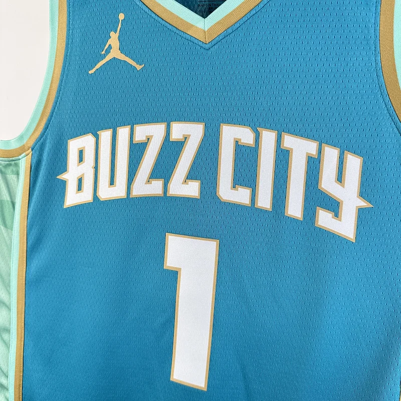 2024  Charlotte Hornets Basketball Jersey   city version #1  BALL