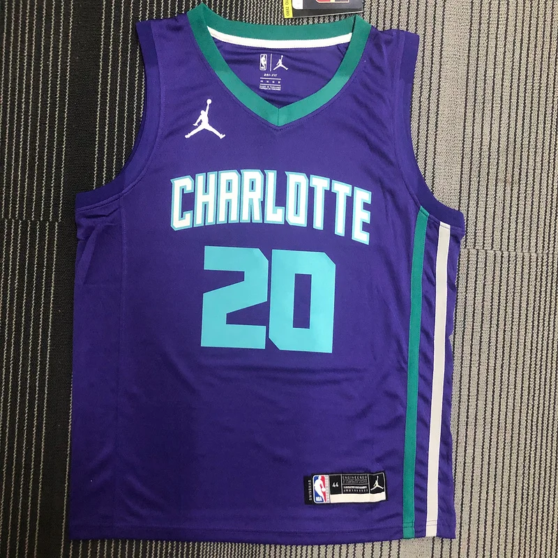 Charlotte Hornets Basketball Jersey   Purple  #20  HAYWARD