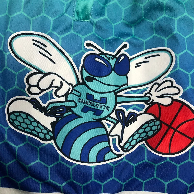 2022  Charlotte Hornets Basketball city version Shorts