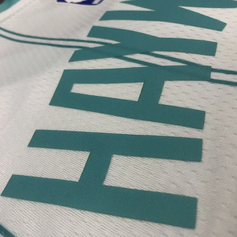 2020 Charlotte Hornets Basketball Jersey   White  #20   HAYWARD