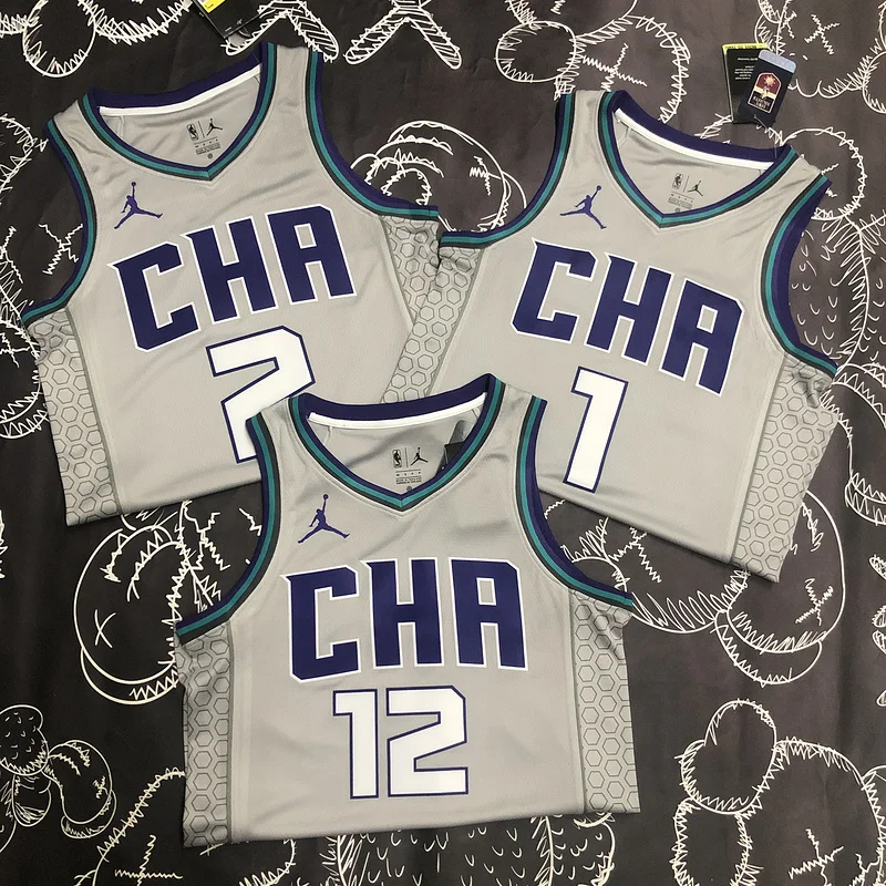 2019   Charlotte Hornets Basketball Jersey    Gray  #1  BALL