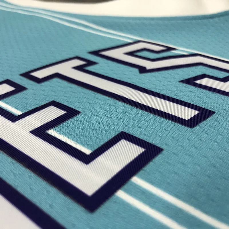 2020 Charlotte Hornets Basketball Jersey   Blue  #20  HAYWARD