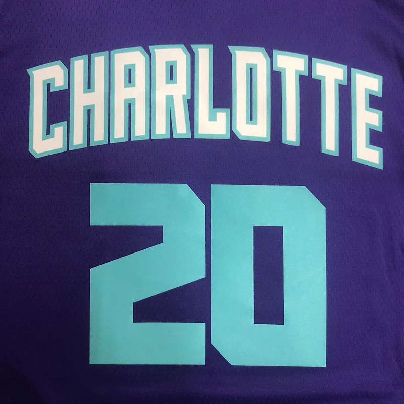 Charlotte Hornets Basketball Jersey   Purple  #20  HAYWARD