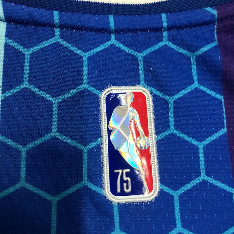 2022  Charlotte Hornets Basketball Jersey   city version #2  BALL