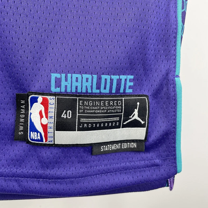 2023  Charlotte Hornets Basketball Jersey   trapeze  limited #1  BALL