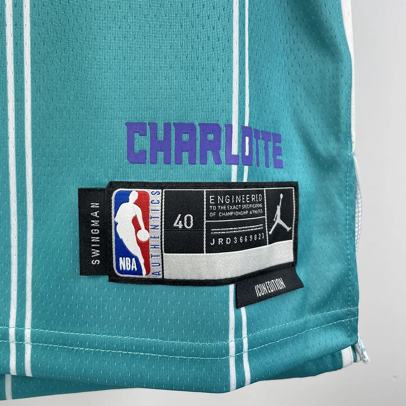 2023  Charlotte Hornets Basketball Jersey   Aawy  Blue  #1  BALL