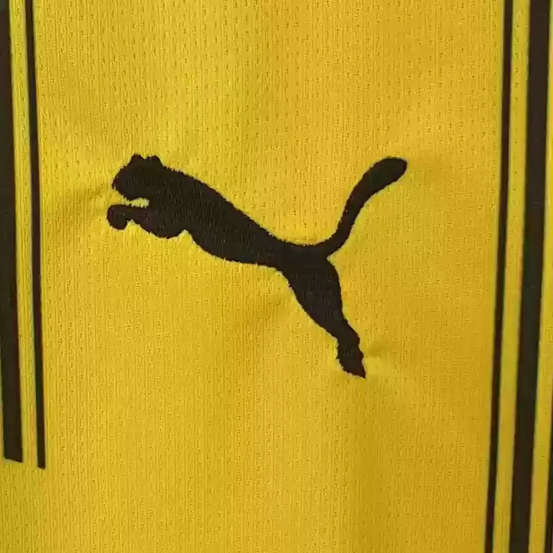 24/25 Borussia Dortmund Home S-4XL