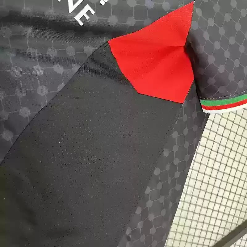 24/25 Palestina Away football Jersey