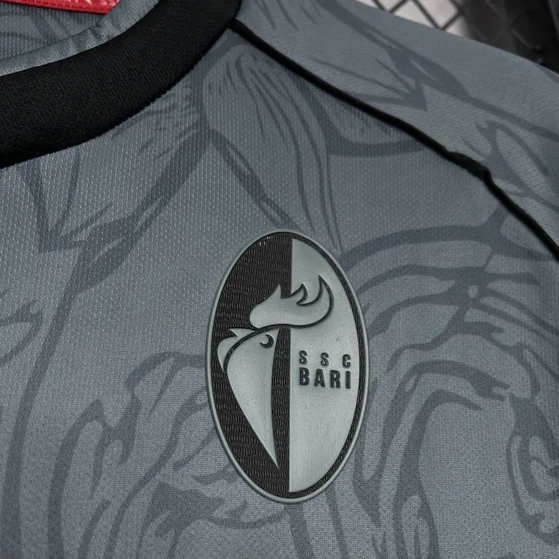 24-25 SSC Bari Grey football Jersey 