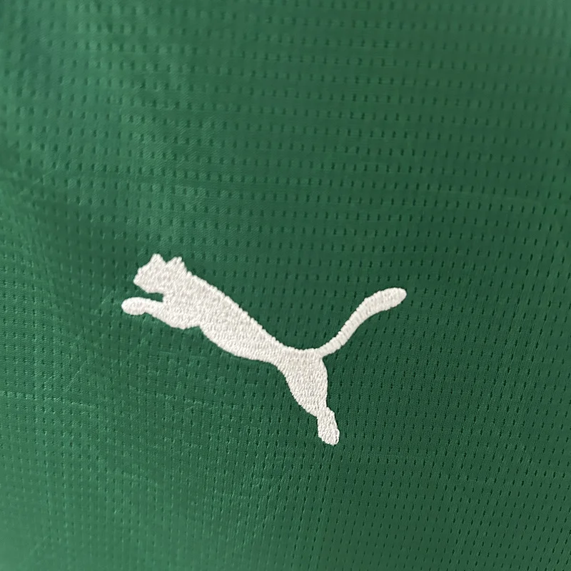 25-26 Palmeirasn Woman Home Soccer Jersey