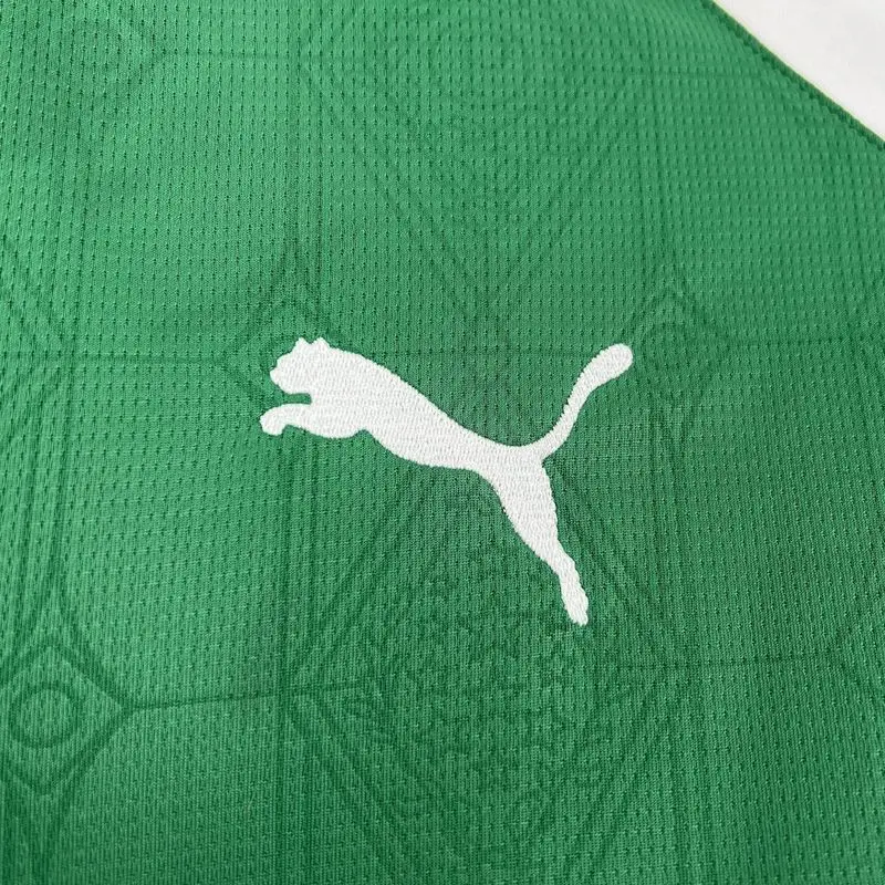 25-26 Palmeiras home jersey